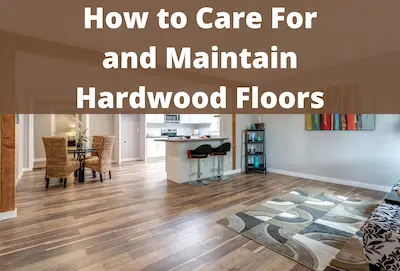 Properly Maintaining Your Hardwood Floor - Blog 2023