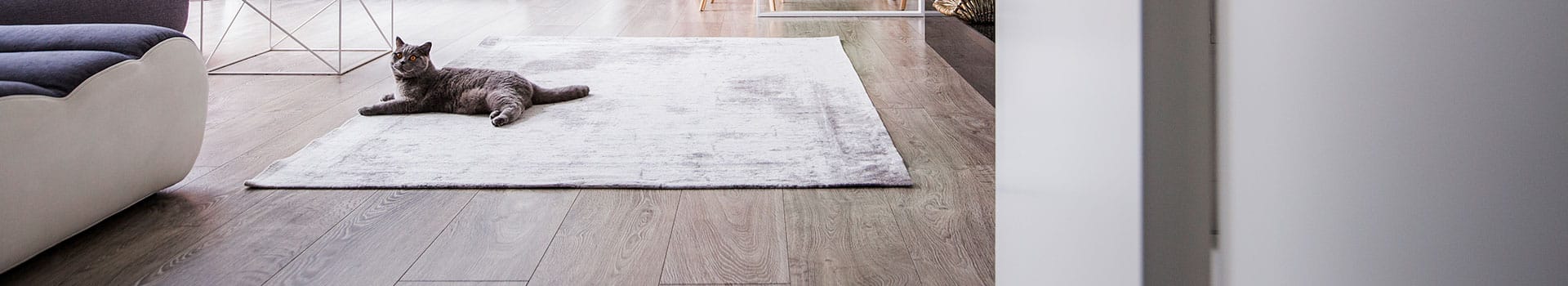 Hardwood restoration