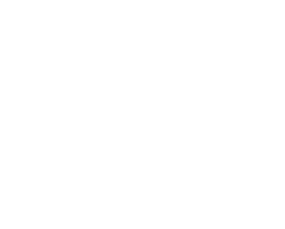 Santizo Footer